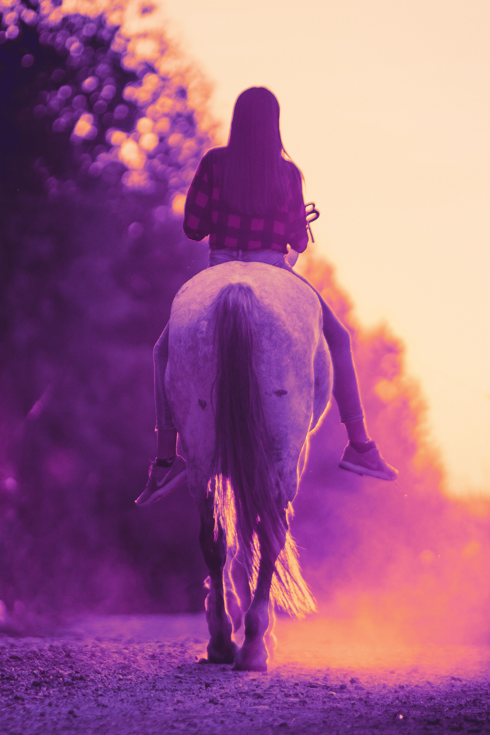 Frau reitet auf einem weißen Pferd in violett-orangem Abendlicht einen staubigen Weg entlang – Symbol für Freiheit, Neuanfang und weibliche Lebendigkeit mit 50+